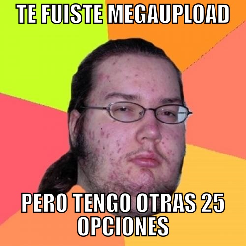 25 sitios alternativos a Megaupload