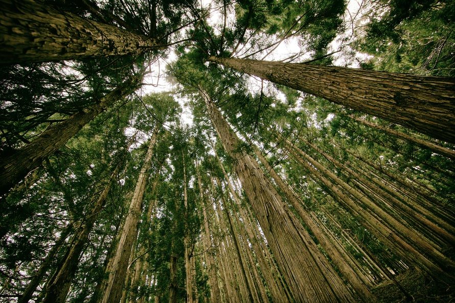 Consejos para imprimir sin que esto afecte al medio ambiente